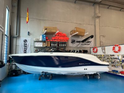 Bayliner V20