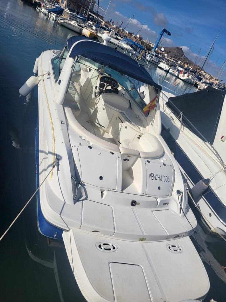 Sea ray 295 SLX