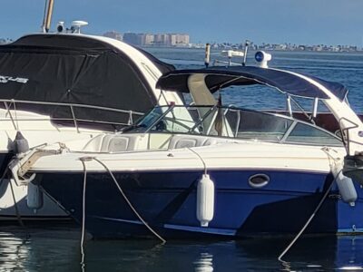 Sea ray 295 SLX