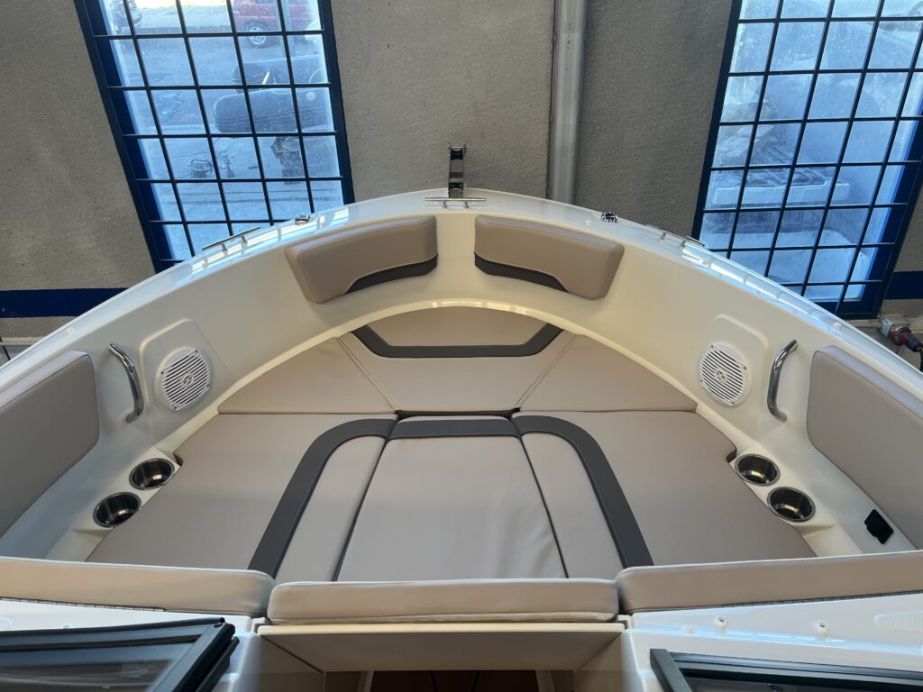 Bayliner V20