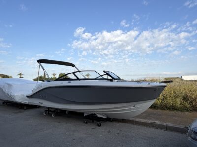 Bayliner V20