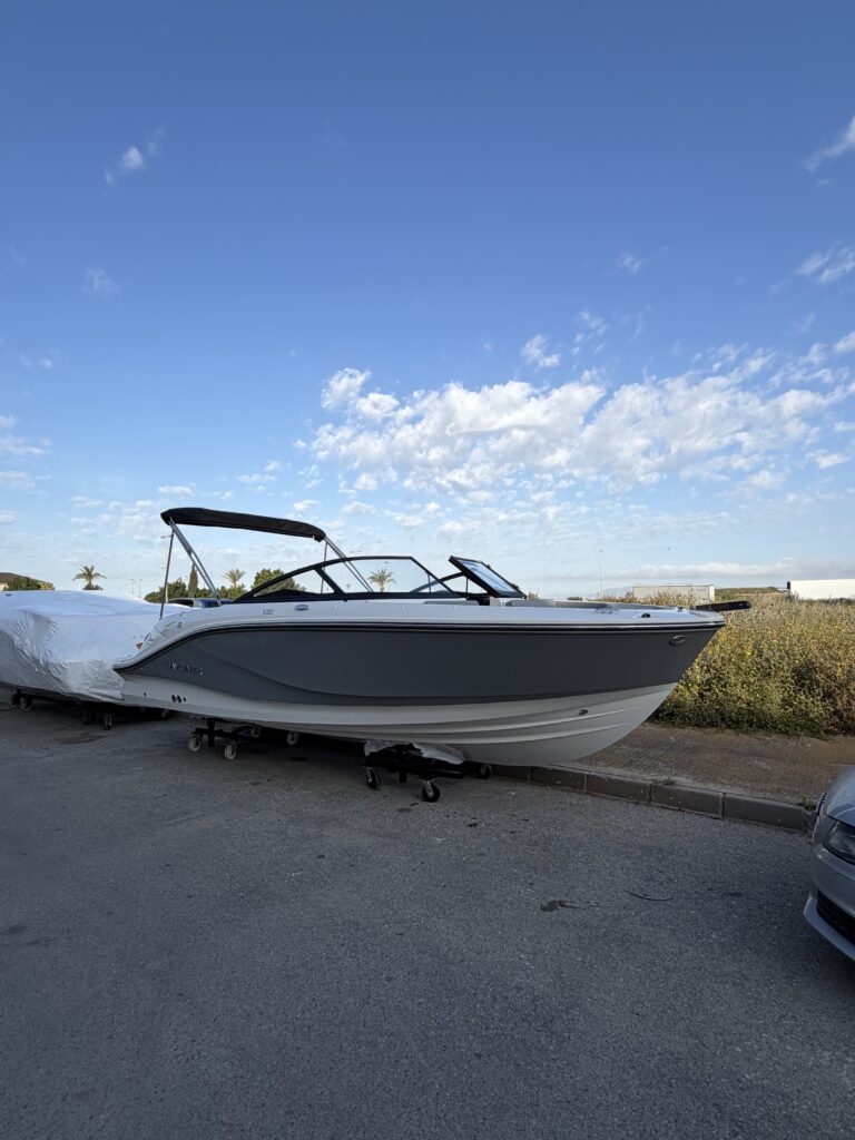 Bayliner V20
