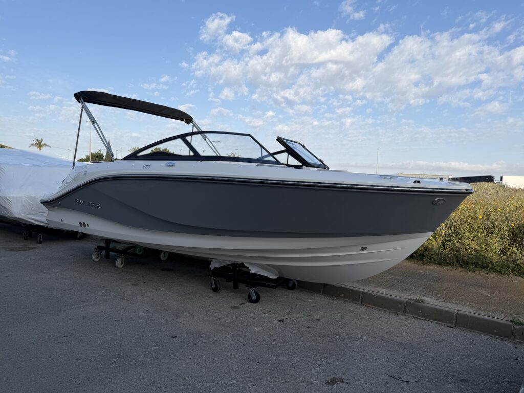 Bayliner V20