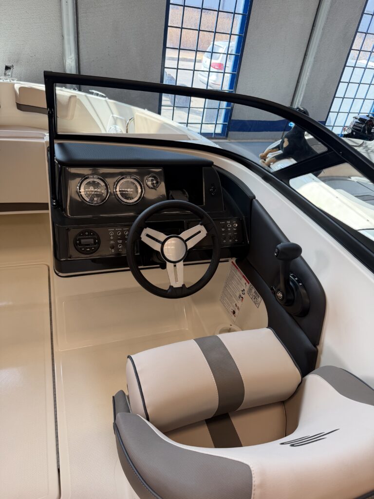 Bayliner V20