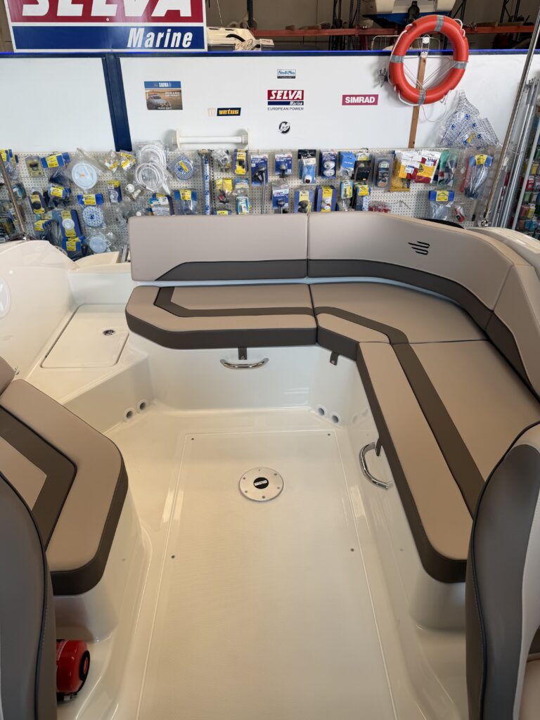 Bayliner V20