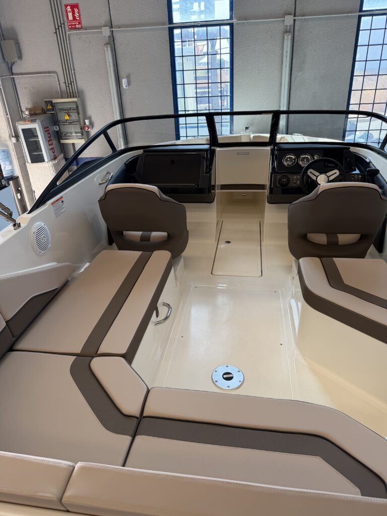 Bayliner V20