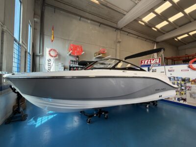 Bayliner V20