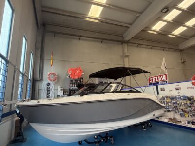 Bayliner V20