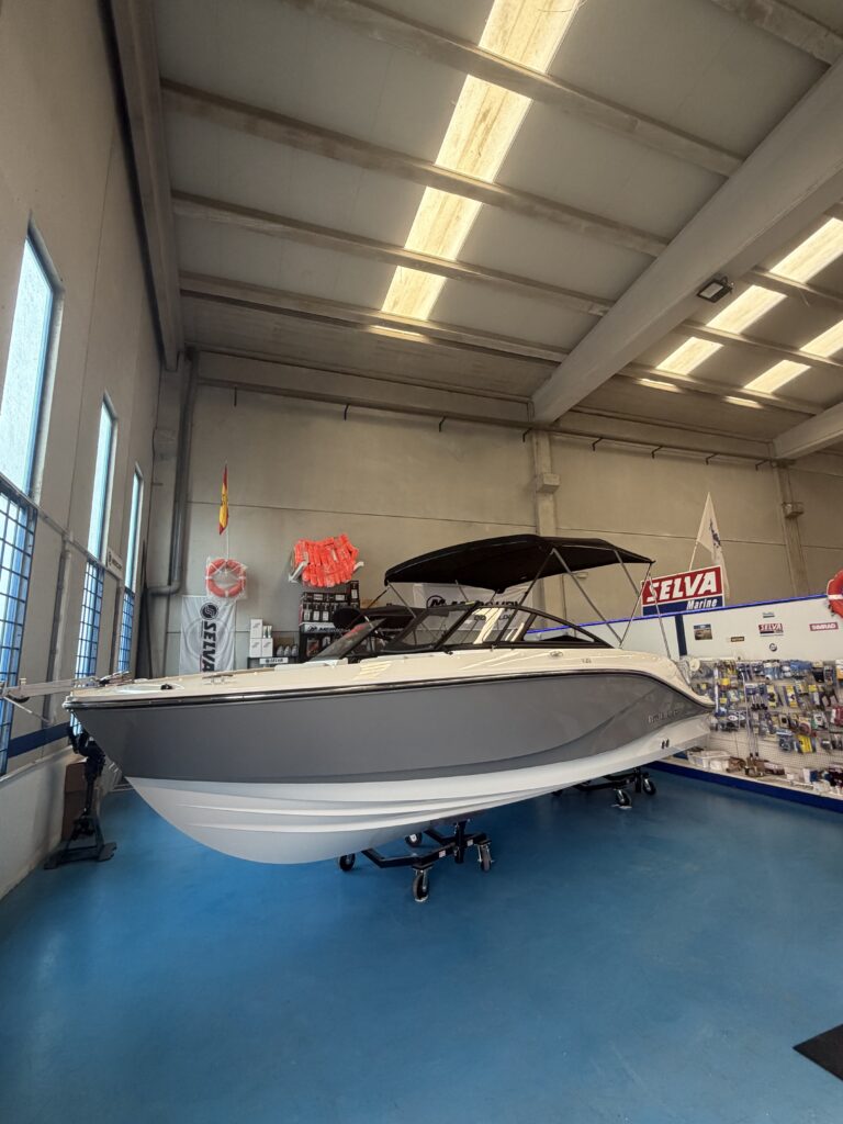 Bayliner V20