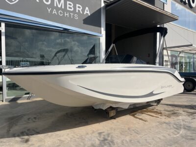 Bayliner Element M17