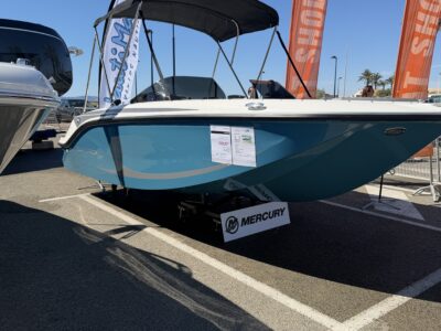 Bayliner Element M17